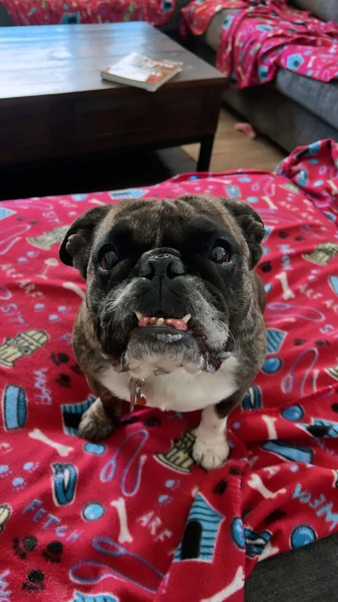 Esther, a member of the pet family